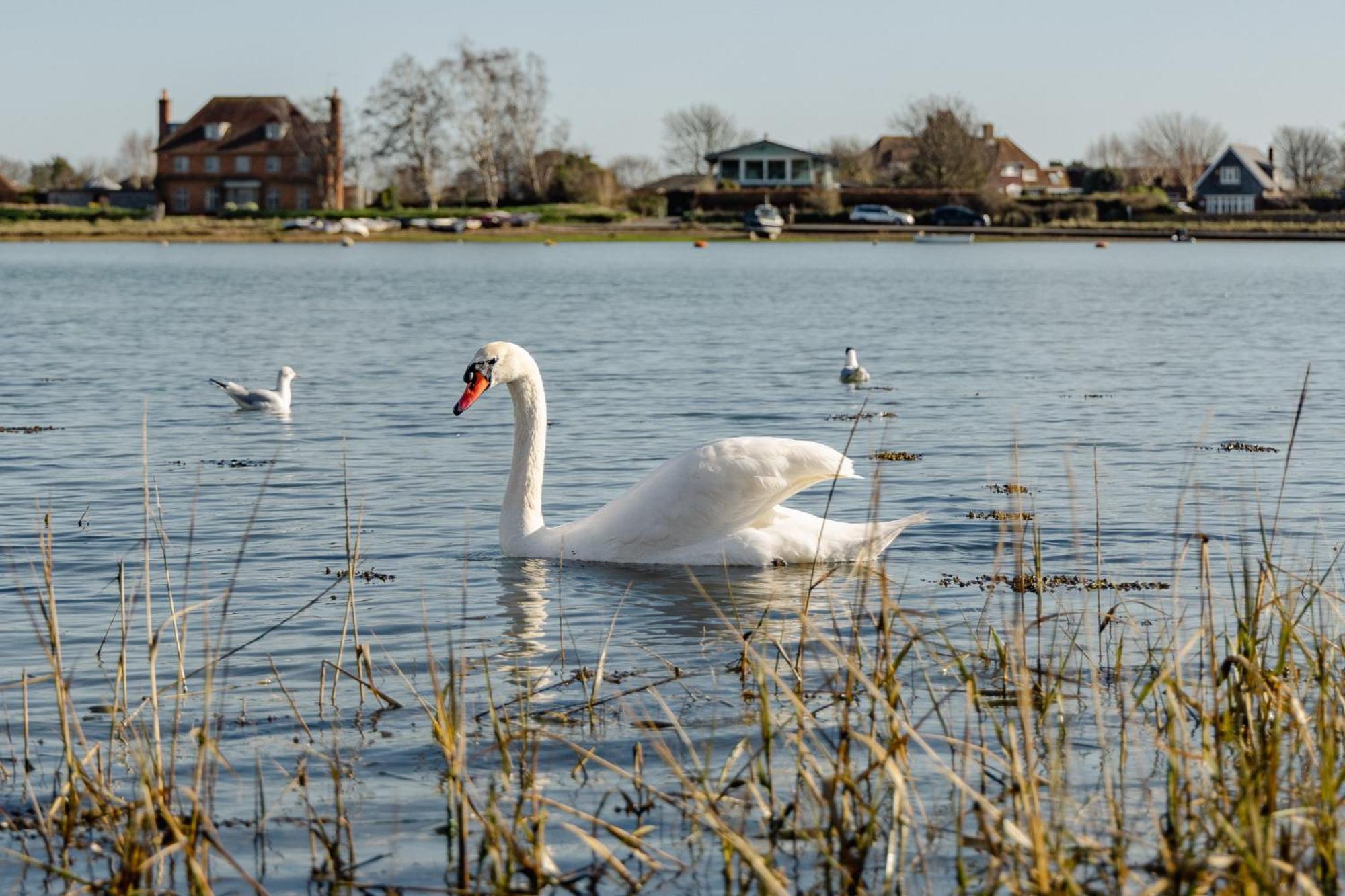 Centre With Cathedral Views And Free Parking- Self Check In * Chichester